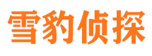 源汇市侦探调查公司